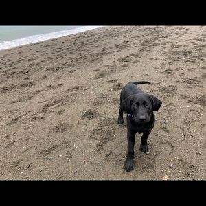 Meet your Posher, Tara